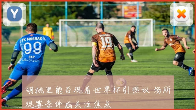 胡桃里能否观看世界杯引热议 场所观赛条件成关注焦点