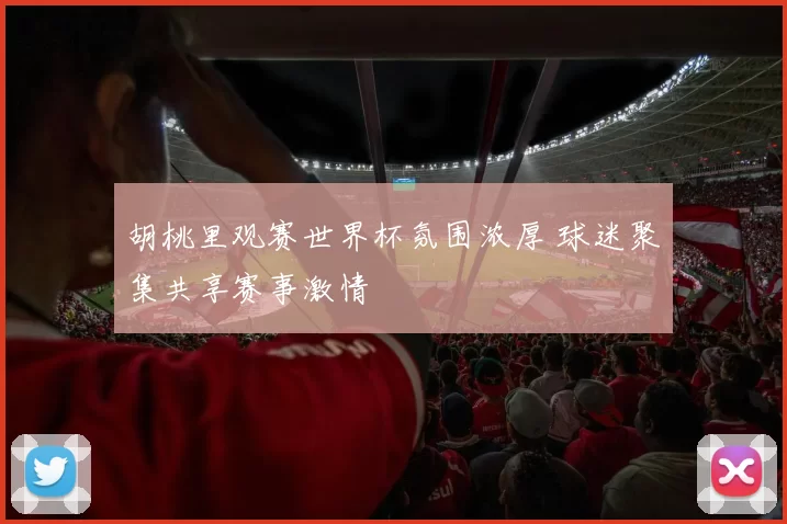 胡桃里观赛世界杯氛围浓厚 球迷聚集共享赛事激情