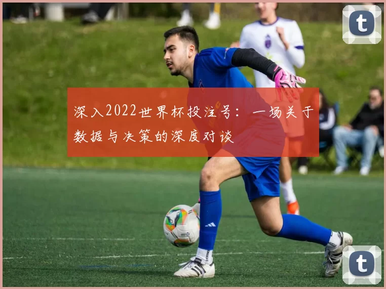 深入2022世界杯投注号：一场关于数据与决策的深度对谈