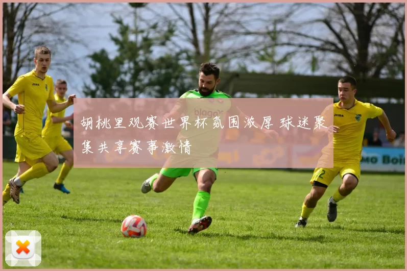 胡桃里观赛世界杯氛围浓厚 球迷聚集共享赛事激情