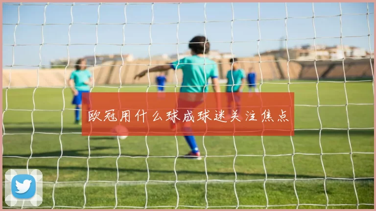 欧冠用什么球成球迷关注焦点