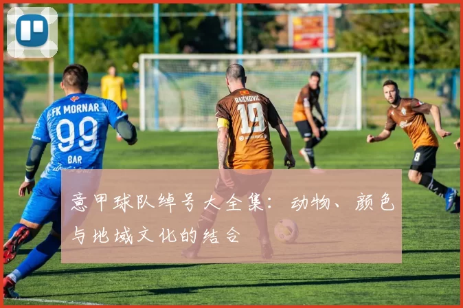 意甲球队绰号大全集：动物、颜色与地域文化的结合