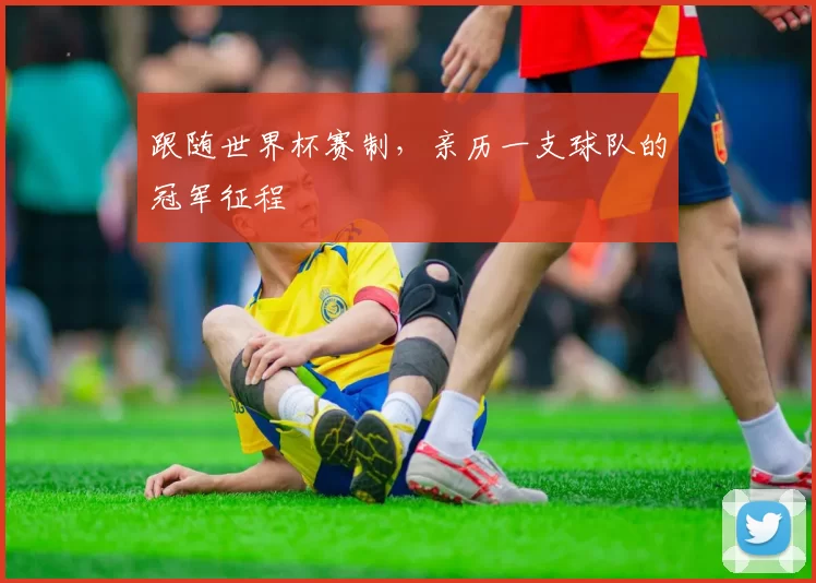 跟随世界杯赛制，亲历一支球队的冠军征程